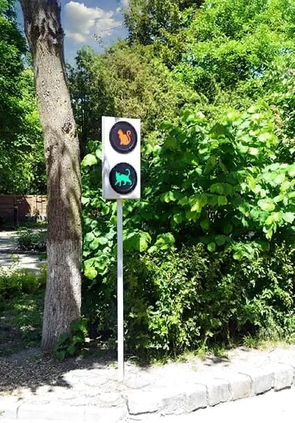 Кошачий светофор, Курортный проспект, Зеленоградск