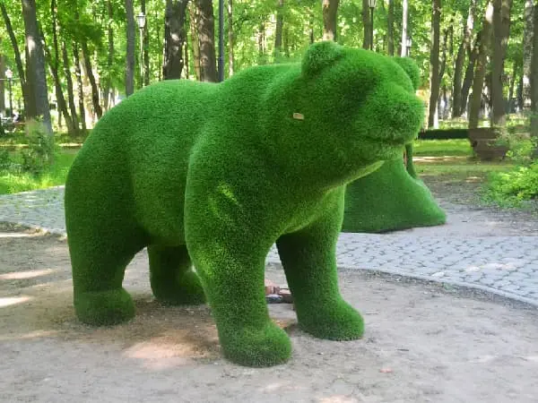 Топиарная фигура Медведь. Подольск, парк Талалихина