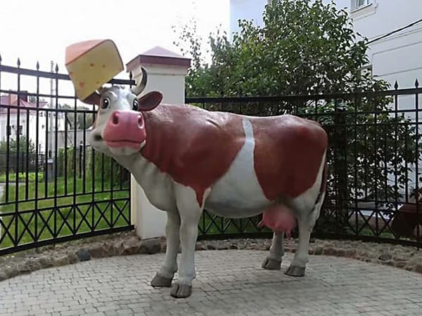 Корова с сыром